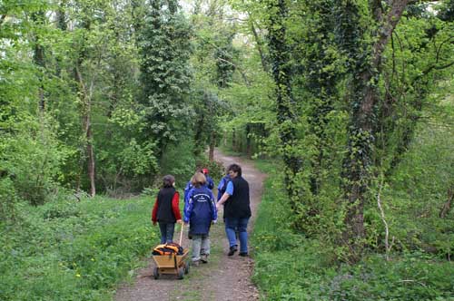 Maiwanderung 2006 - Kaiserstuhl